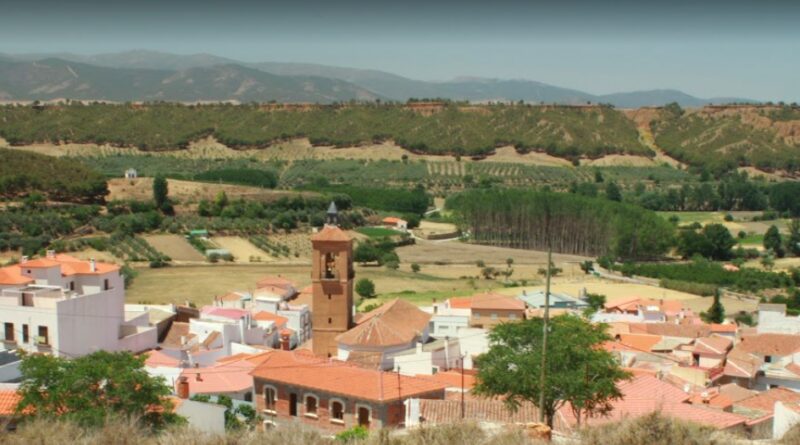 Lote 16 Fincas Rústicas en Alcudia de Guadix, Granada