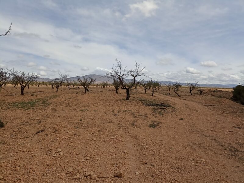 Cortijo de Andacuez - Imagen 5